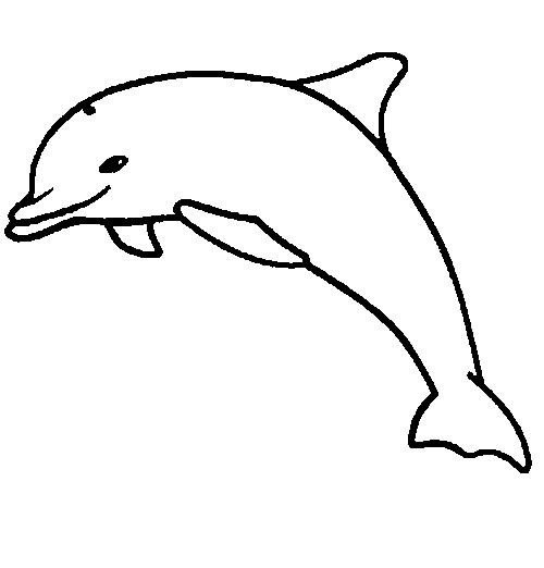Delfin kolorowanki